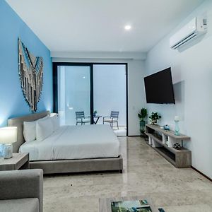 Estudio de 1 Dormitorio